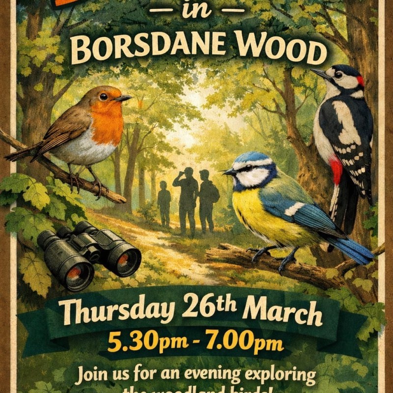 Bird Walk Announced – Thursday 26th&nbsp;March