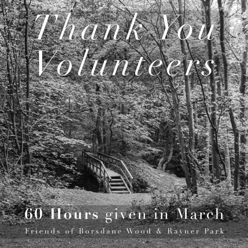 Thank You to Our Volunteers – March&nbsp;Update