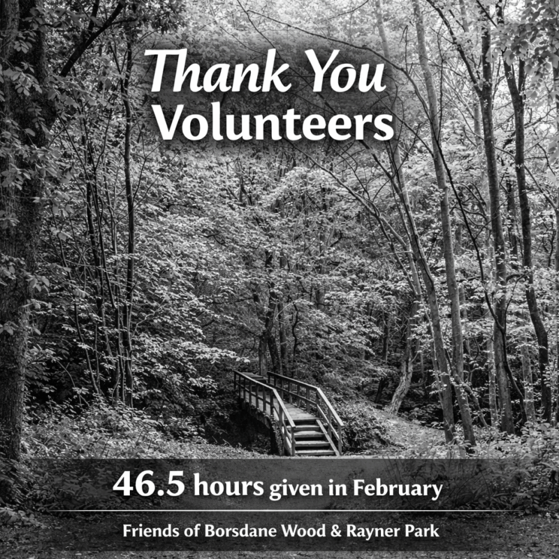 Thank You to Our February&nbsp;Volunteers