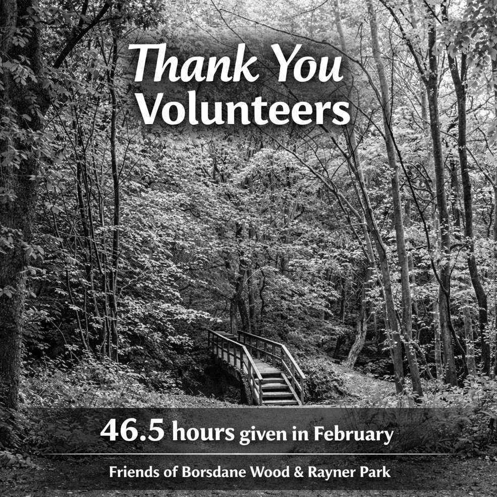 Thank You to Our February&nbsp;Volunteers