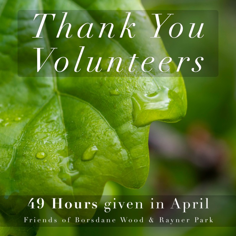 April 2026 Volunteer Hours&nbsp;Summary
