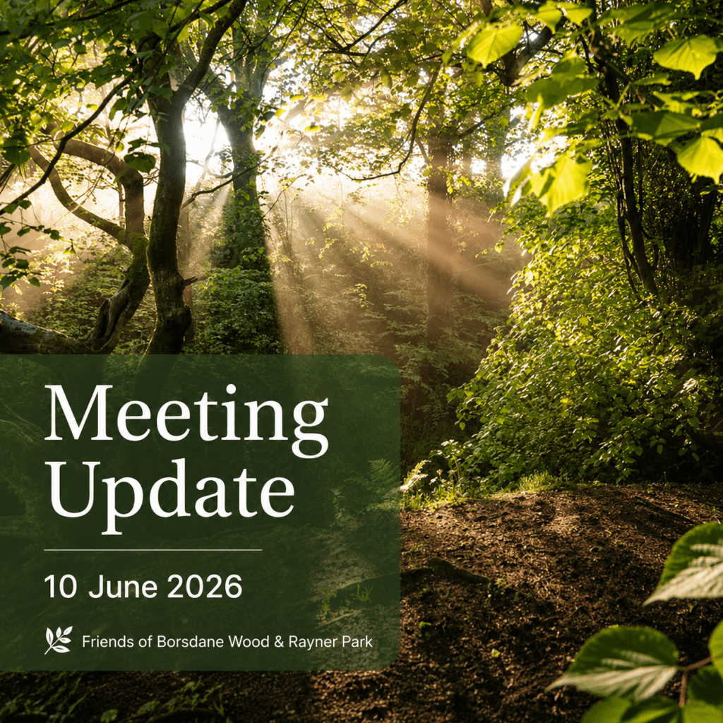 Meeting Update: 10th June&nbsp;2026