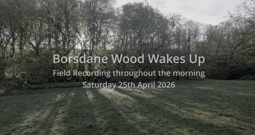 Borsdane Wood Wakes Up: A Spring Morning Field&nbsp;Recording