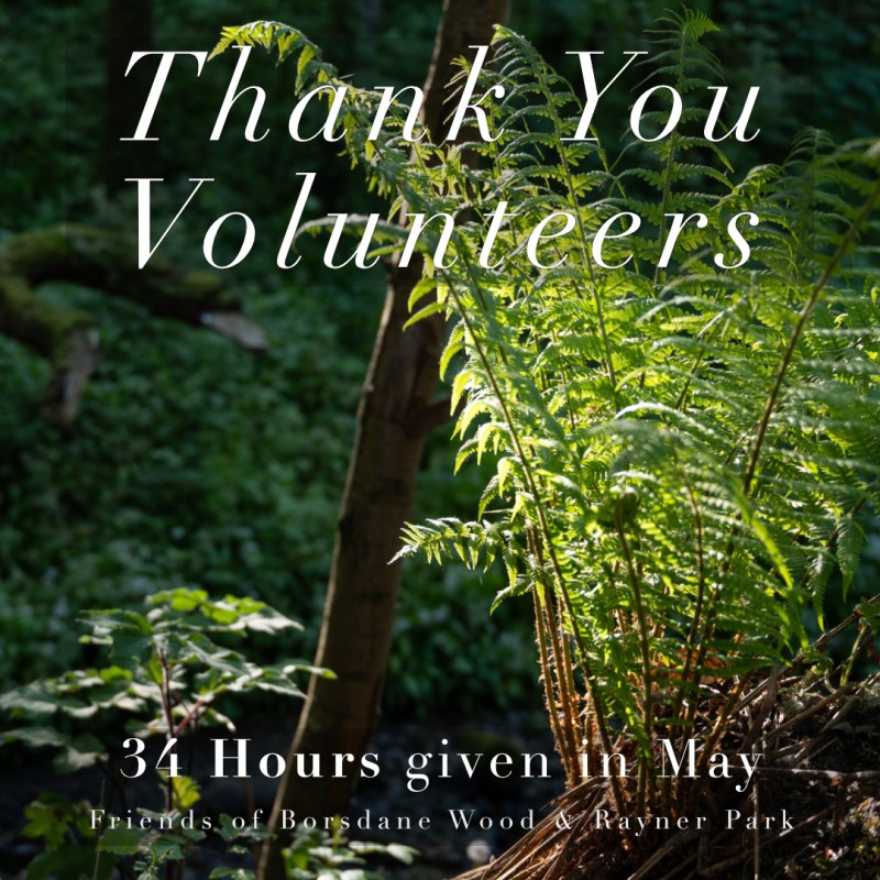 Thank You Volunteers: 34 Hours Given in&nbsp;May