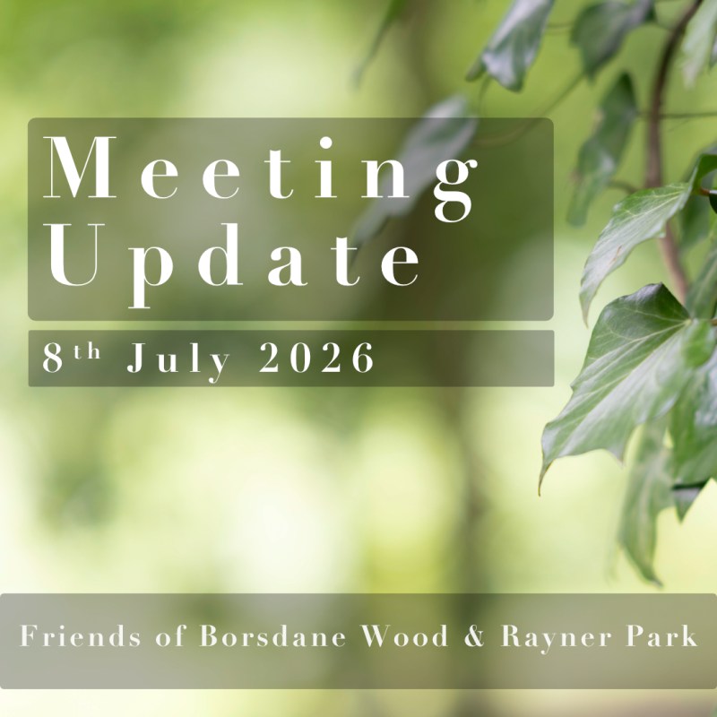 Meeting Update: 8th July&nbsp;2026
