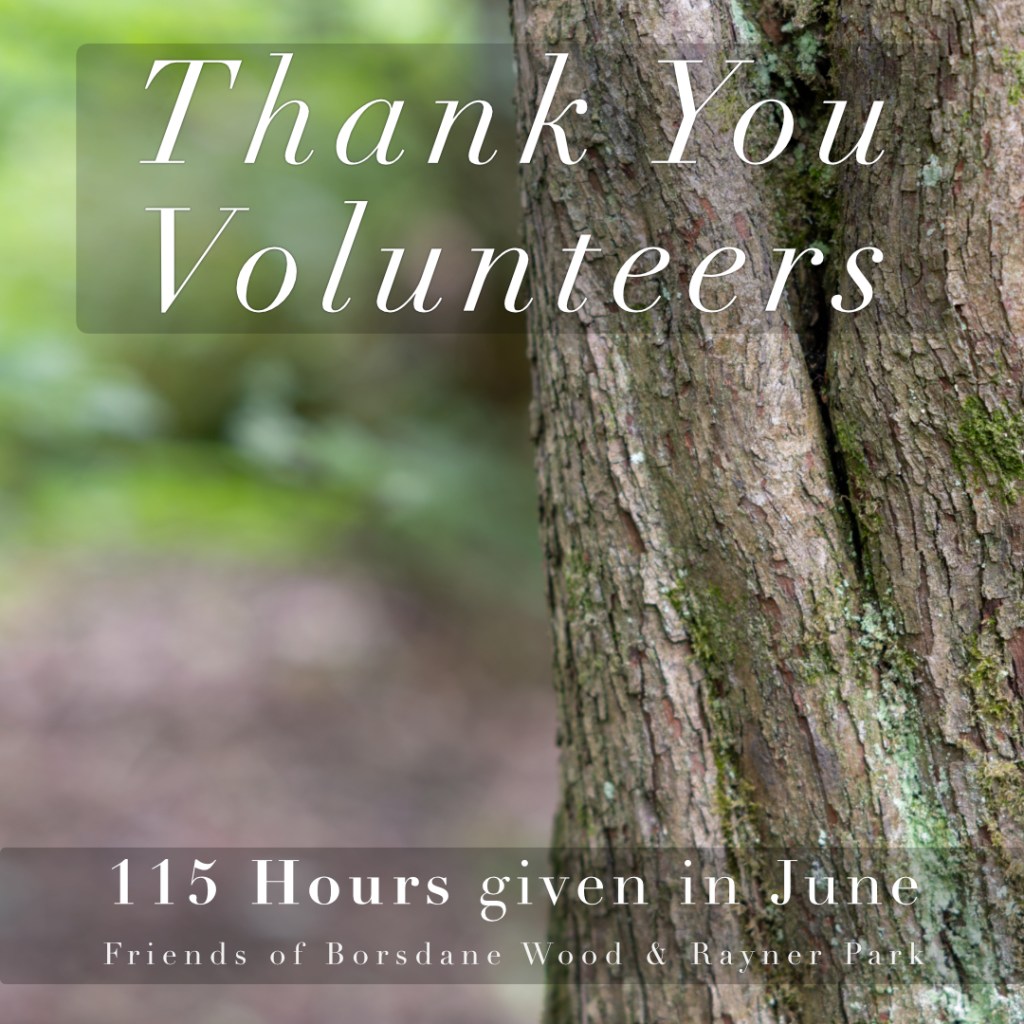 Thank You Volunteers: 115 Hours Given in&nbsp;June