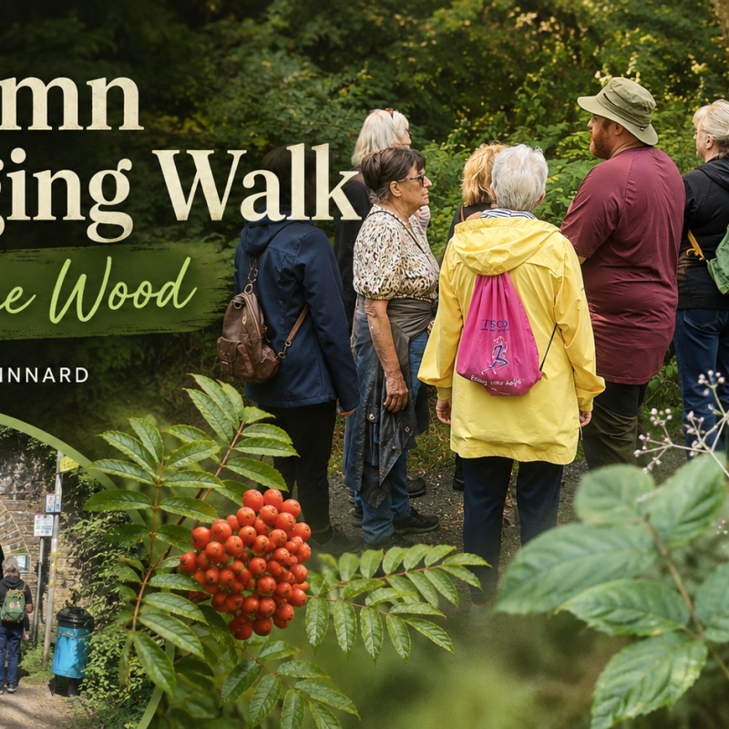 Exploring Borsdane Wood on Our Autumn Foraging&nbsp;Walk
