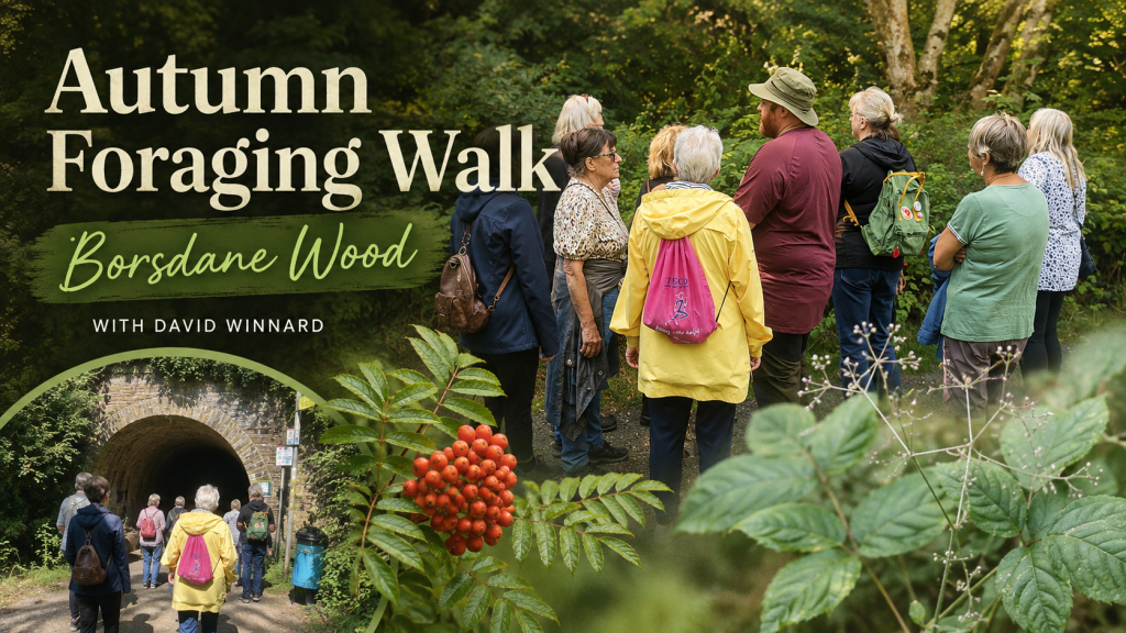 Exploring Borsdane Wood on Our Autumn Foraging&nbsp;Walk