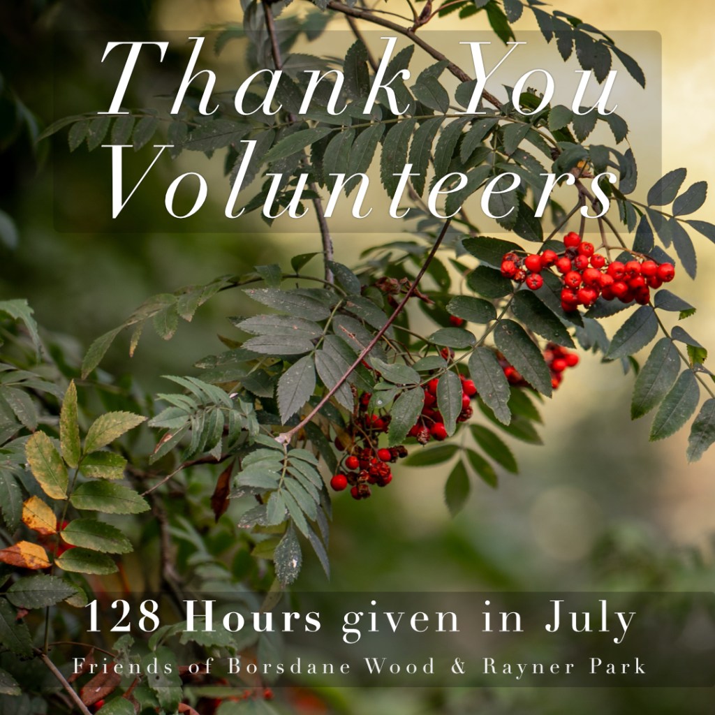128 Volunteer Hours Given in&nbsp;July