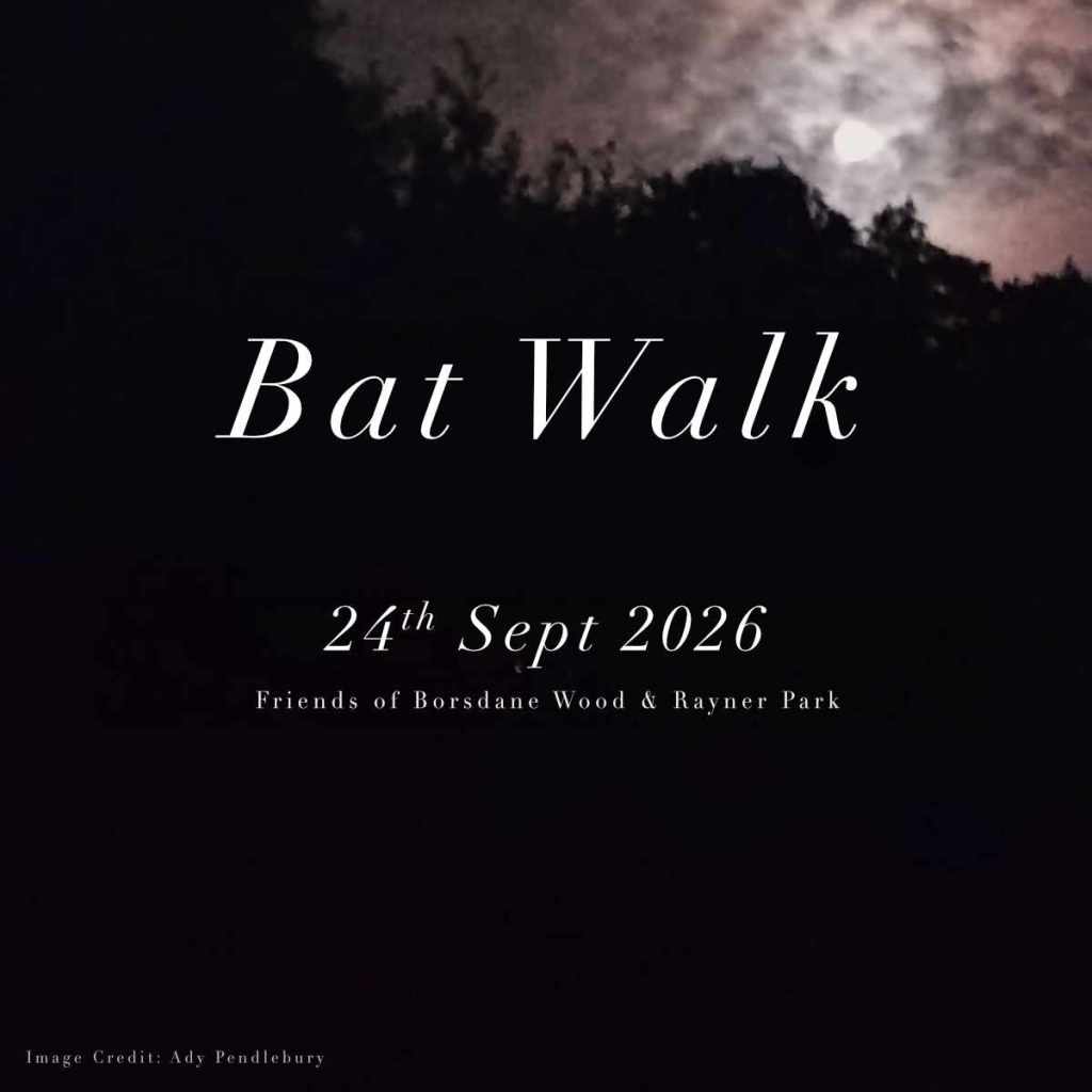 Bat Walk Brings an Evening of Wildlife Discovery to Borsdane&nbsp;Wood