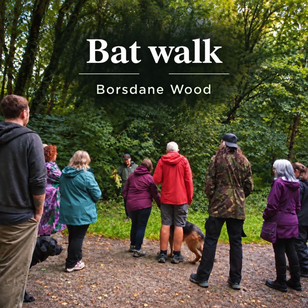 Braving the Rain for Our Latest Borsdane Wood Bat&nbsp;Walk