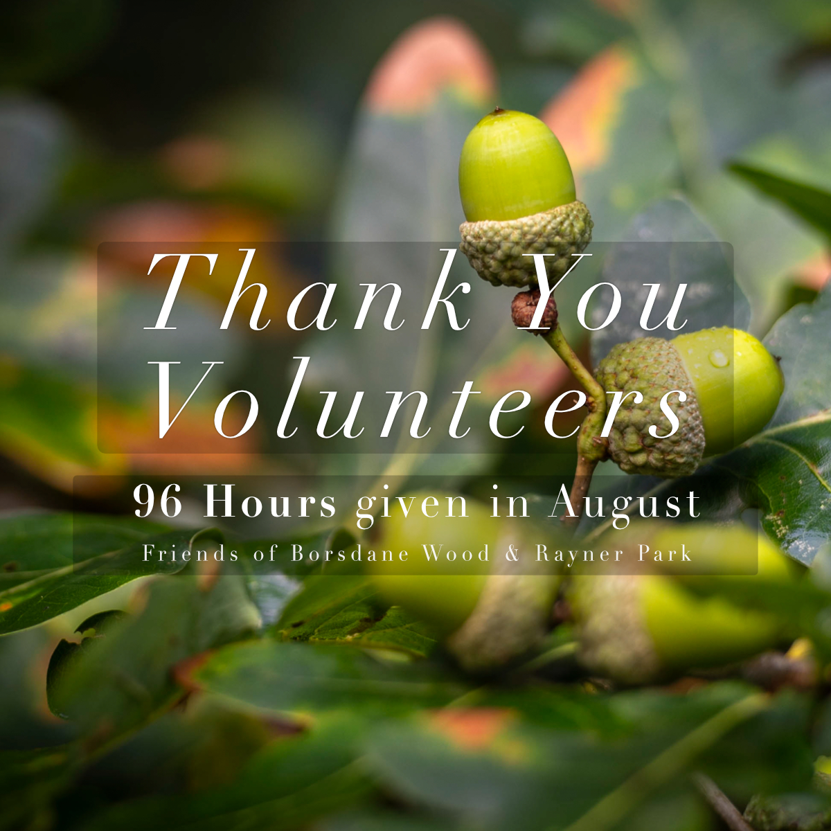 96 Volunteer Hours Given in&nbsp;August