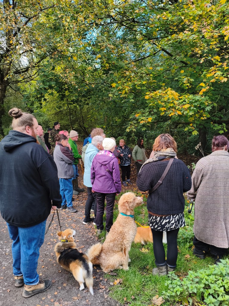 A group of people, including several with dogs, stands in a wooded area surrounded by trees with autumn foliage, engaged in conversation.