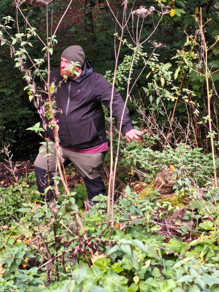A person standing among tall plants and bushes in a forested area, wearing a black jacket and a green beanie, with a thoughtful expression.