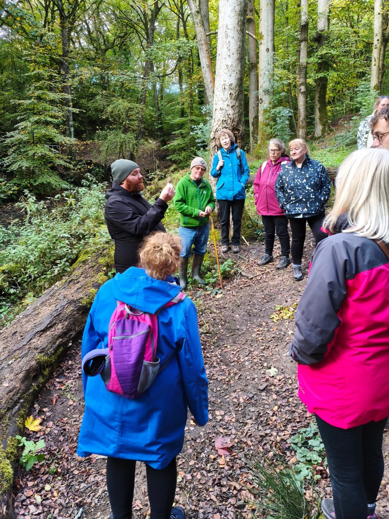 A group of people gathered in a forest, listening to a speaker demonstrating something while standing near a large tree. The scenery is lush with green foliage and autumn leaves on the ground.