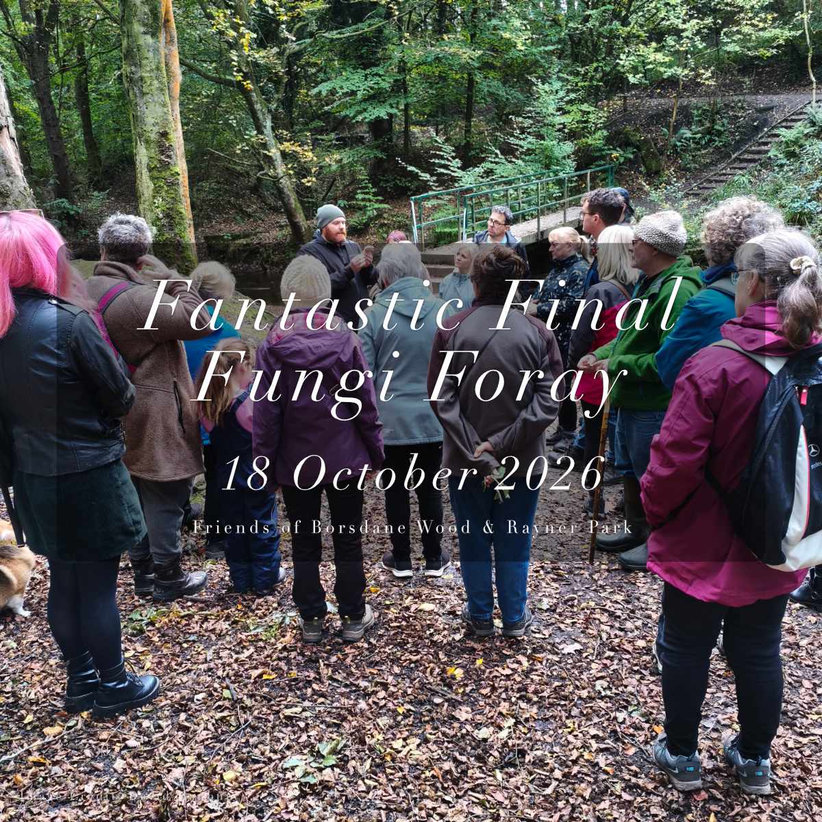 A fantastic final Fungi Foray for&nbsp;2026