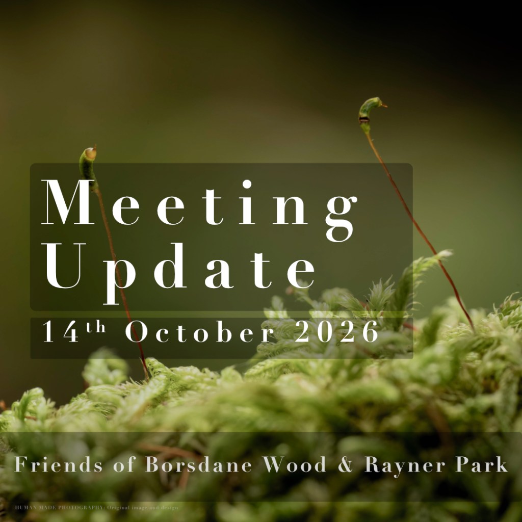 Friends Group Meeting – October&nbsp;2026