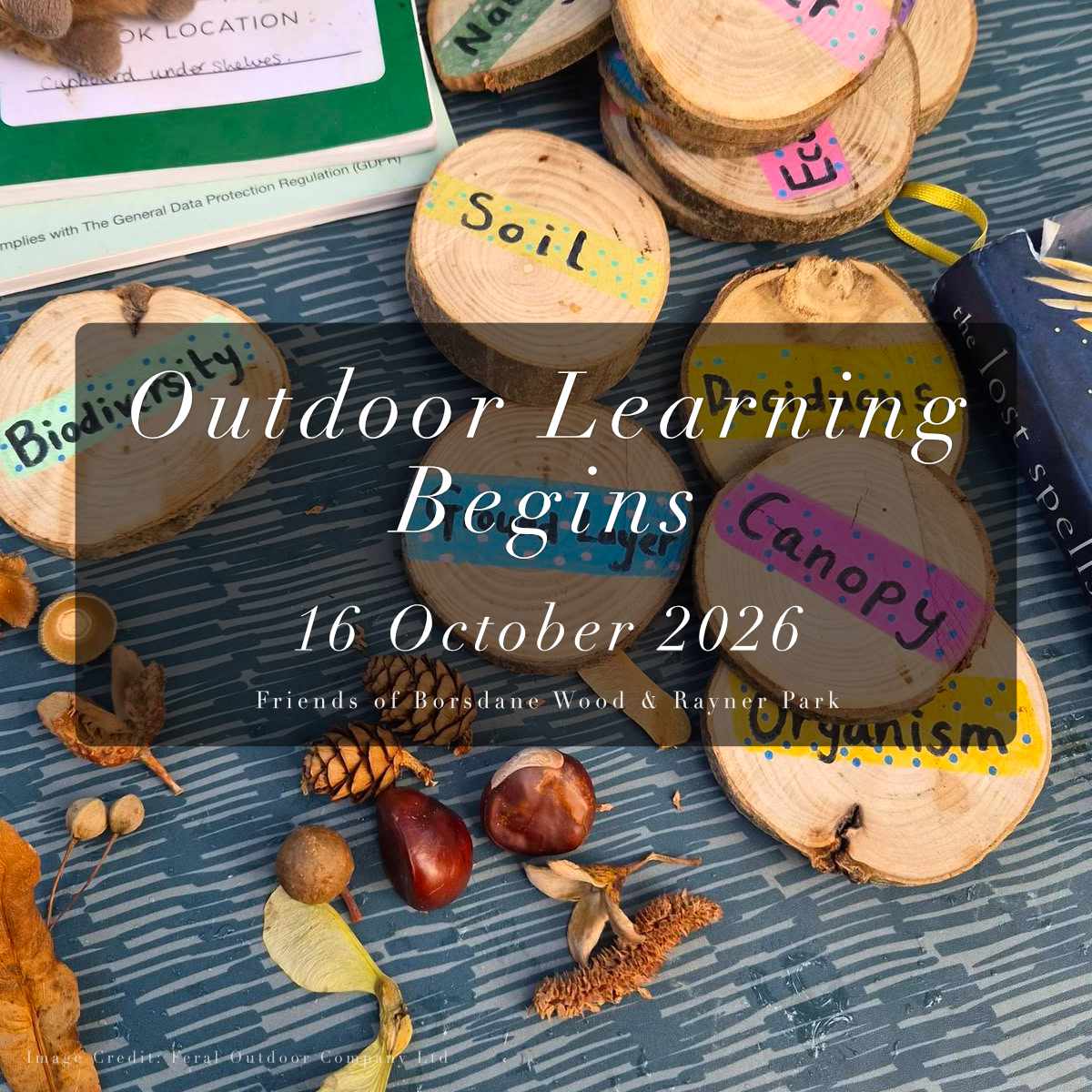 An Exciting New Chapter for Outdoor Learning in Borsdane&nbsp;Wood
